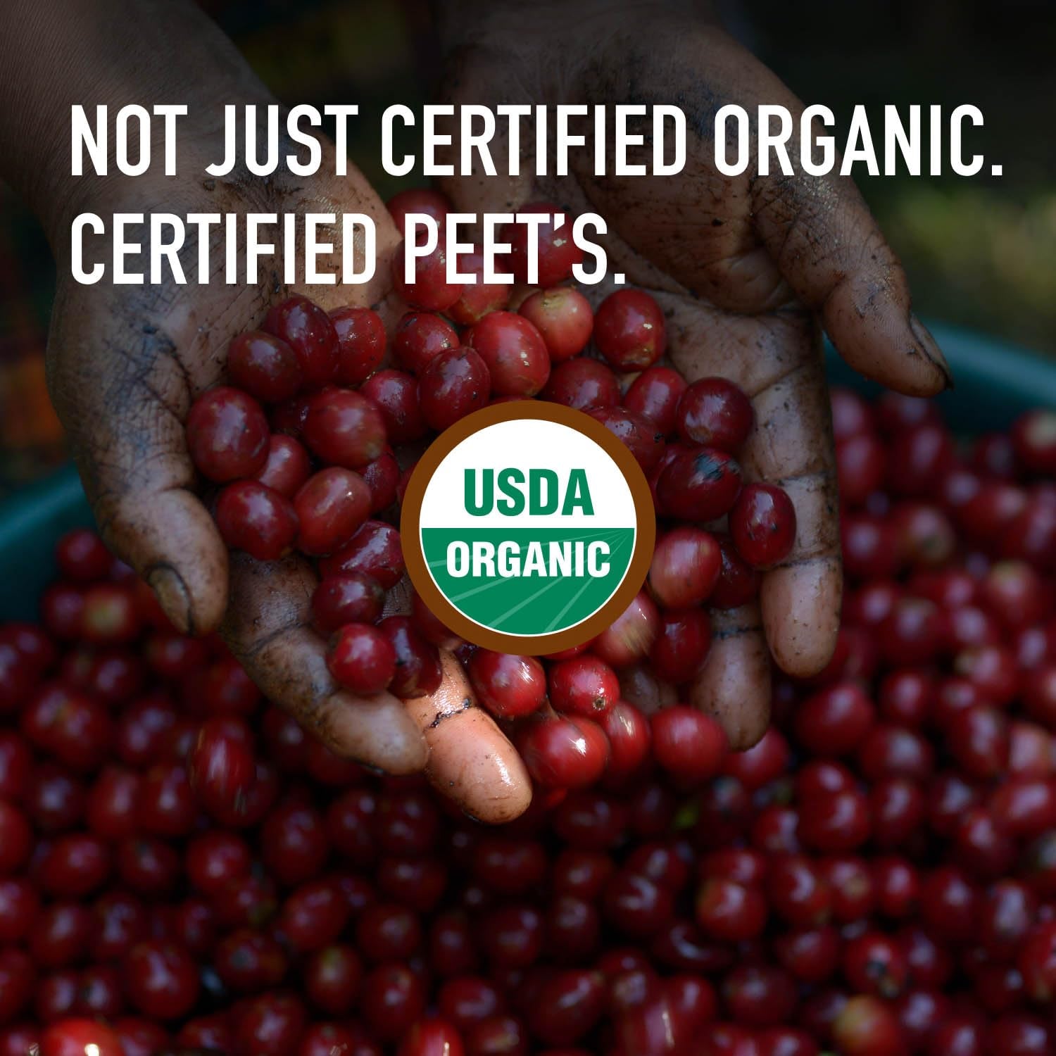peets-coffee-usda-organic-dark-roast-ground-coffee-100-arabica-coffee-french-roast-18-ounce-bag
