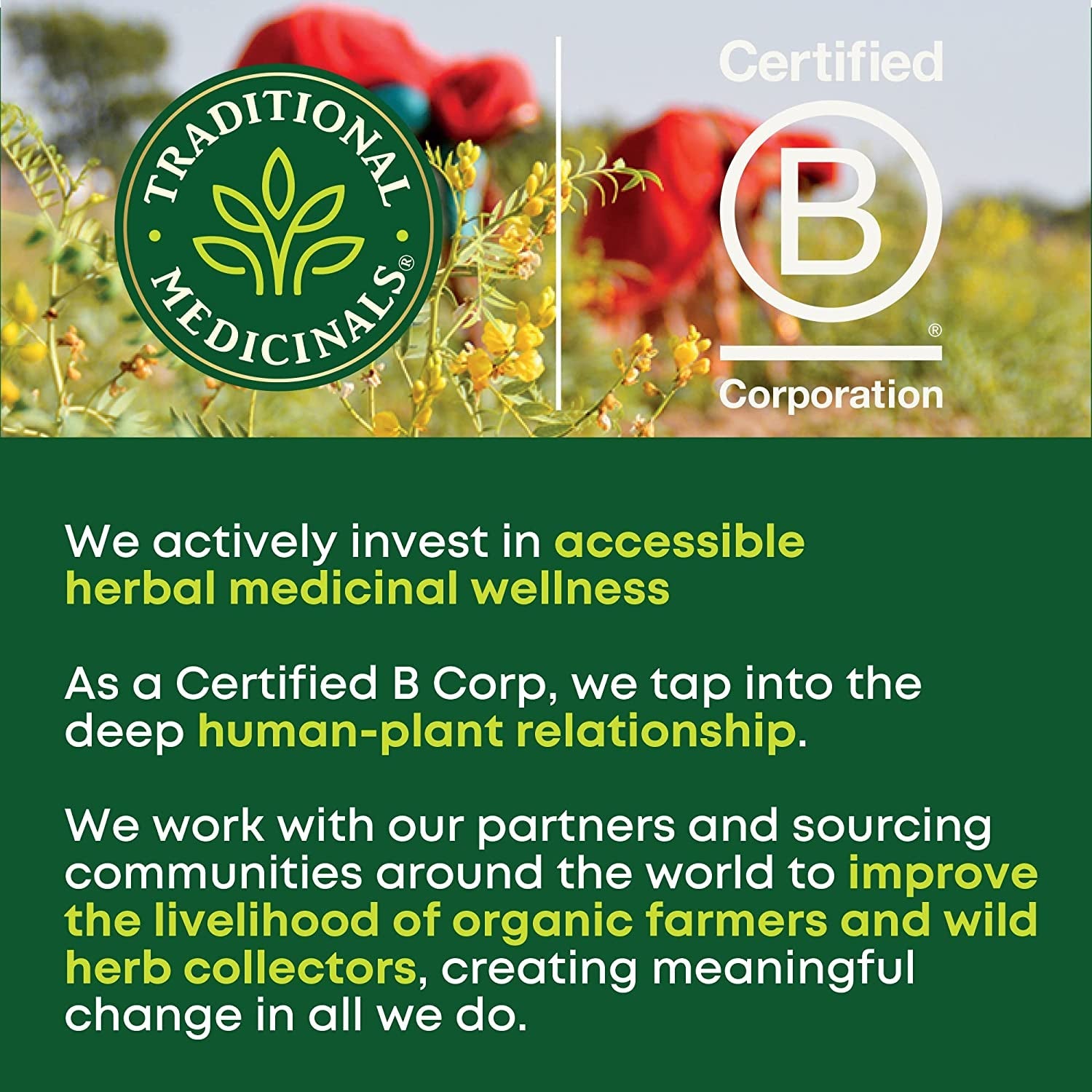 organic-hibiscus-tea-supports-normal-heart-health-cardiovascular-wellness-kosher-non-gmo-caffeine-free-compostable-16-tea-bags-supports-immune-function-kosher-non-gmo-caffeine-free-compostable