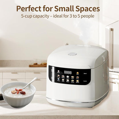5 Cups Electric Mini Rice Cooker Portable 10-In-1 Smart Pot White | 2.1L Capacity, 24-Hour Delay Timer, Non-Stick Inner Pan, Fast 400W Heating for Dorm or Travel Soup Preparation6