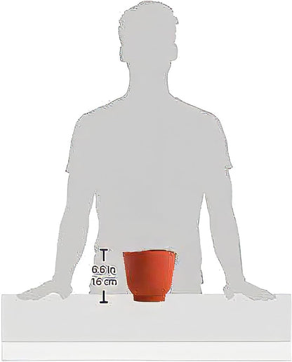 Norpro Silicone Bowl Set 3 Piece Red 1019R7