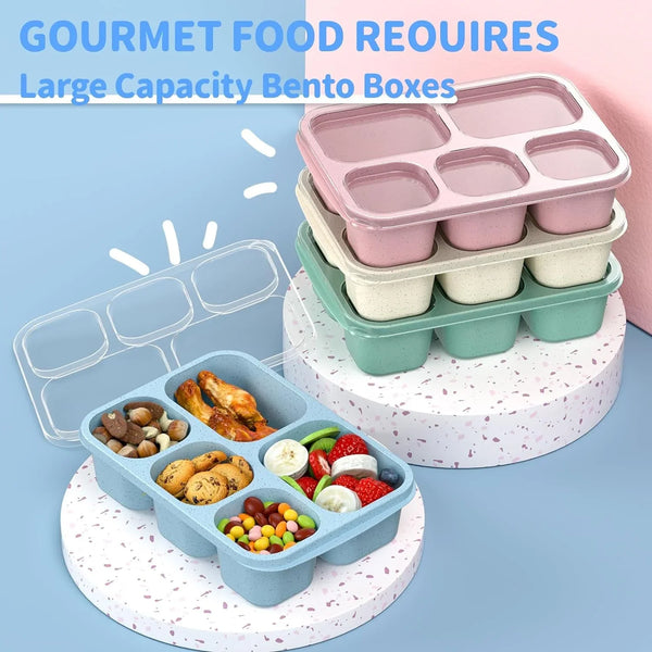 Bento Box Adult Lunch Box - 4 Pack, 5 - Compartment Meal Prep Container for Kids, Reusable Food Storage Snack Containers - Stackable for School, Work, and Travel (Wheat(Green/Blue/Pink/Beige))4