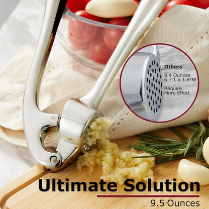 High Effective Garlic Press with Studs, Heavy Duty Garlic Mincer, Easy to Squeeze and Clean, Rust Proof, Ginger Crusher- Imperial Silver8