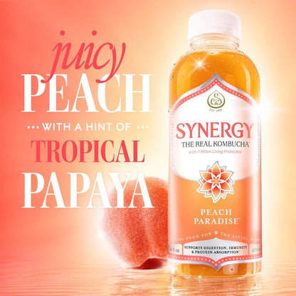 the Real Kombucha - Peach Paradise - 16 Fl Oz Bottle - Raw Probiotic Drink for Gut Health and Immune Support3