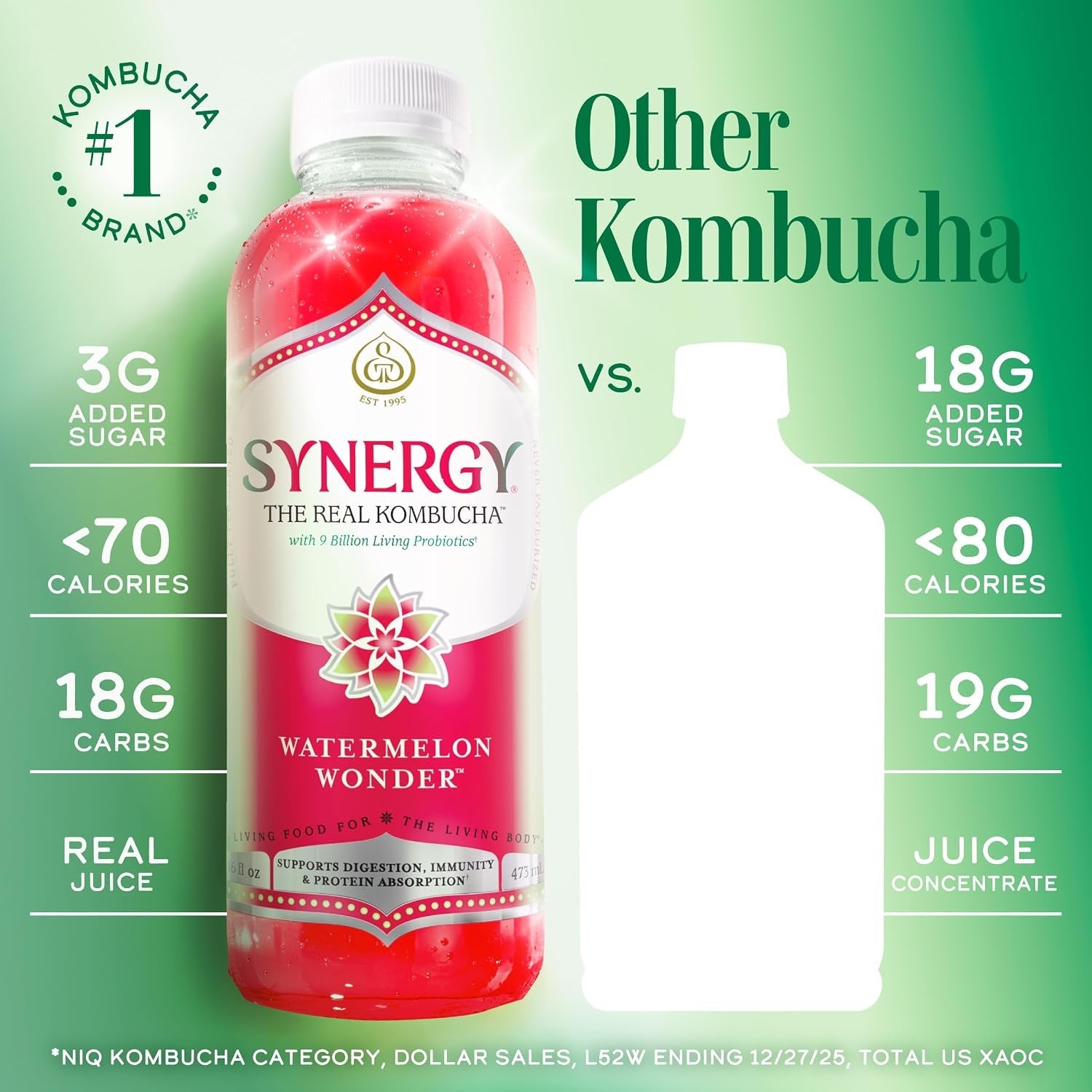 the-real-kombucha-watermelon-wonder-16-fl-oz-bottle-raw-probiotic-drink-for-gut-health-and-immune-support