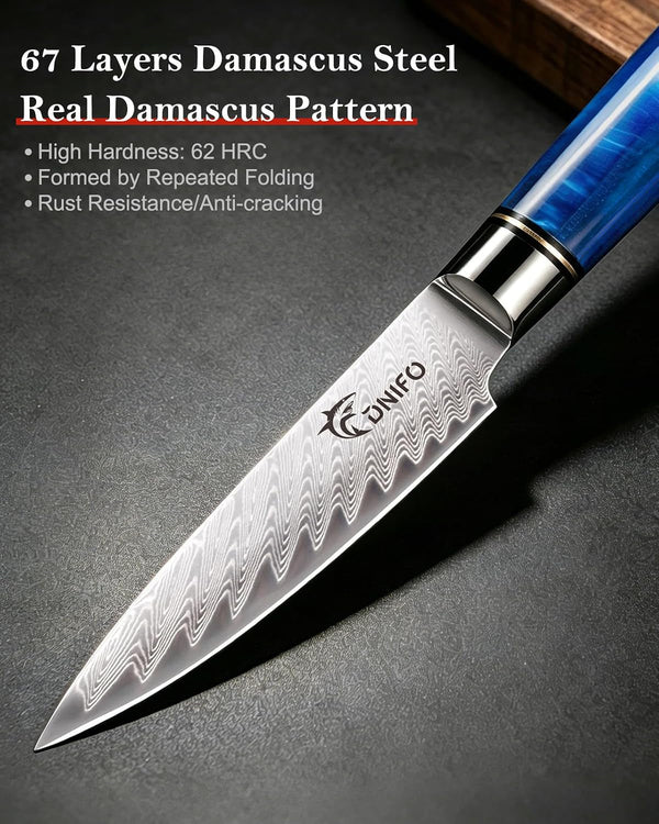 Paring Knife 3.5 Inch, Japanese VG-10 Steel Damascus Knife3