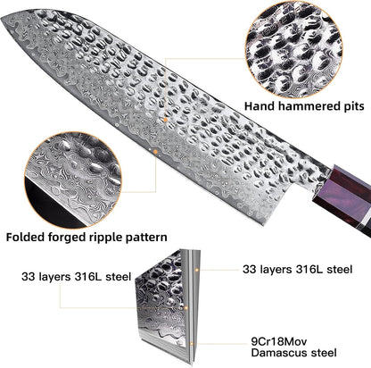 Eternity Series Japanese Santoku Knife with ABS Sheath, Professional Kitchen Knife, 9Cr18Mov Damascus Steel Blade, Resin Octagonal Handle, for Meat, Fruits, Vegetables, 7 Inches2