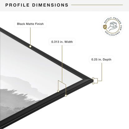 Original Poster Frame, 20X28, Black, Gallery Wall, 2-Pack7