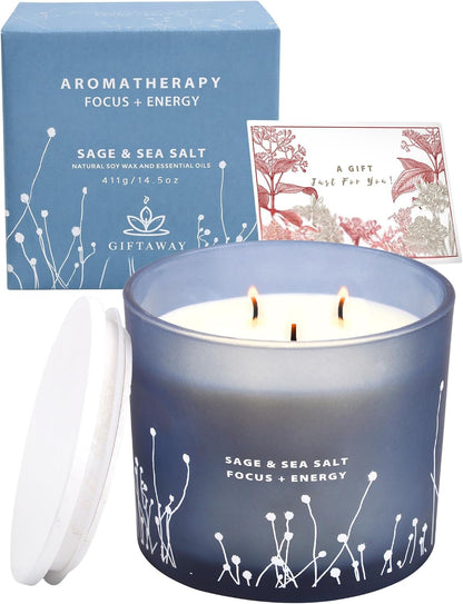 White Sage Sea Salt 3 Wick Jar Candle, Large Scented Candle for Home 14.5Oz6