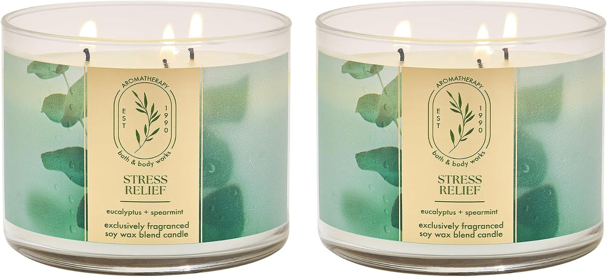 3-wick-candle-eucalyptus-spearmint-2-pack