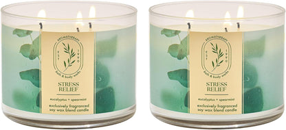3-Wick Candle, Eucalyptus Spearmint, 2 Pack1