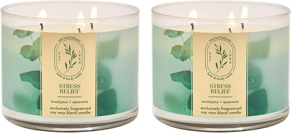3-Wick Candle, Eucalyptus Spearmint, 2 Pack1