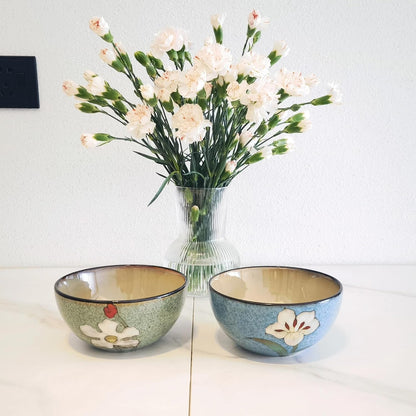 Ceramic Bowls for Kitchen, 28Oz - Bowl Set of 4 - for Cereal, Salad, Pasta, Soup, Ramen, Serving Etc - Dishwasher, Microwave, and Oven Safe - for Breakfast, Lunch and Dinner (Blue+Red+Green+Pink)5