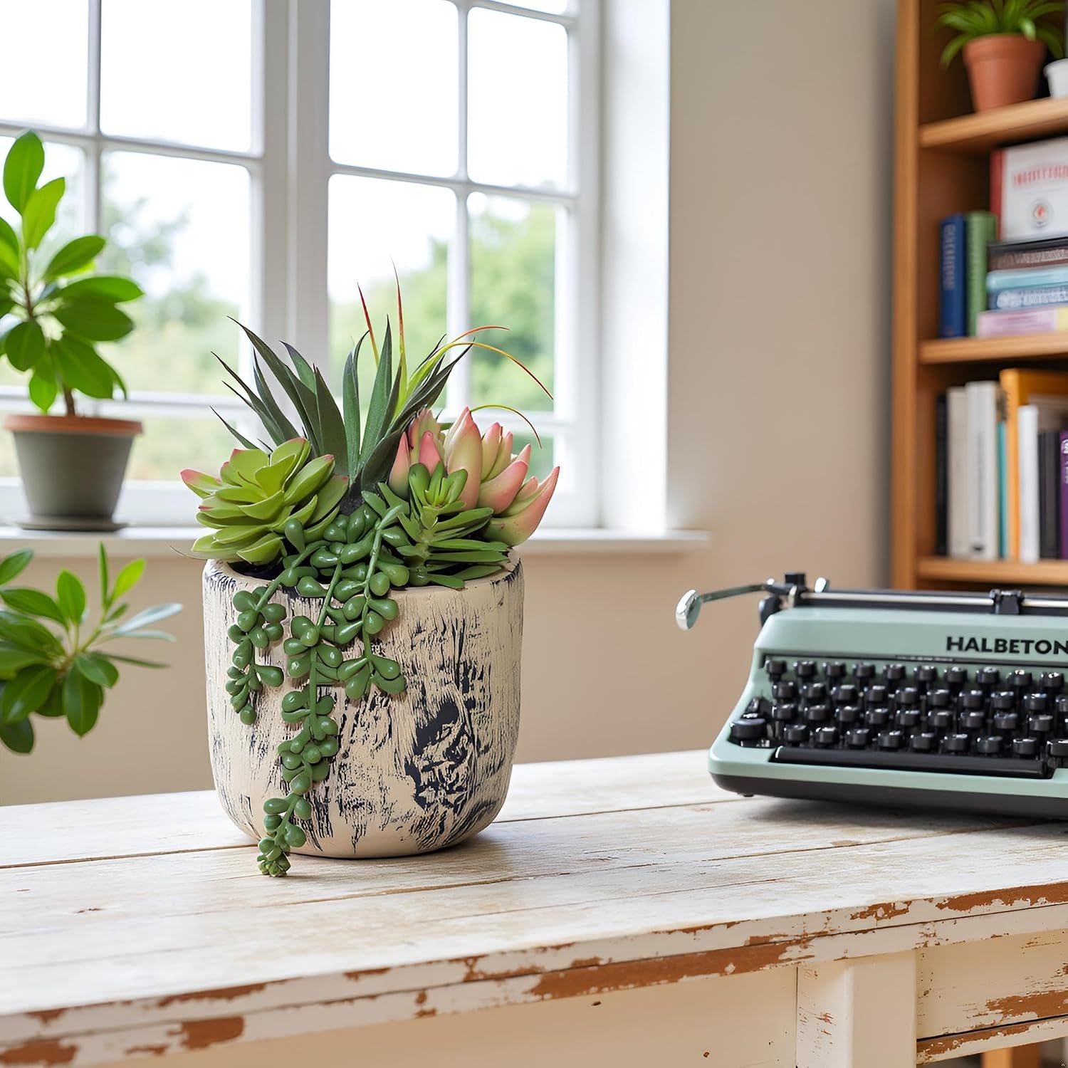succulents-plants-artificial-faux-succulent-plants-in-elegant-ceramic-pot-assorted-faux-potted-succulent-plant-for-home-living-rooms-bedroom-decor-7-9