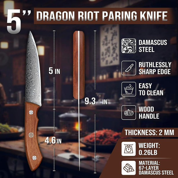 5 Inch Damascus Paring Knife, VG10 Steel, Fruit Knife | VG10 Steel Core, Ergonomic Wood Handle, for Slicing, Chopping and Everyday Food Prep5