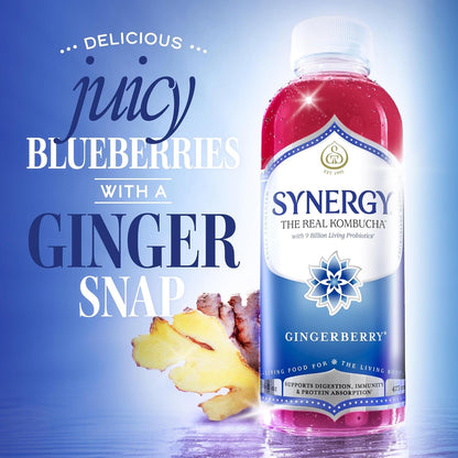 the Real Kombucha - Gingerberry - 16 Fl Oz Bottle - Raw Probiotic Drink for Gut Health and Immune Support3