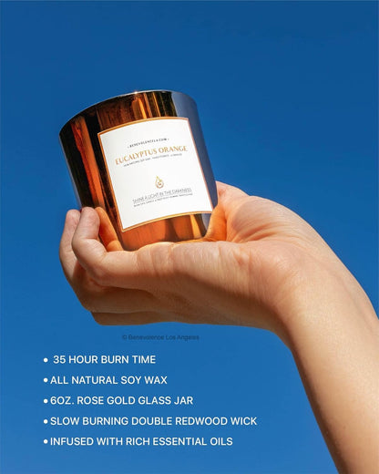 Premium Eucalyptus Orange Scented Candle – Long-Lasting, 45-Hour Burn – Luxury Natural Soy Wood Wick Candle for Home – Aromatherapy & Room Decor – 8Oz4