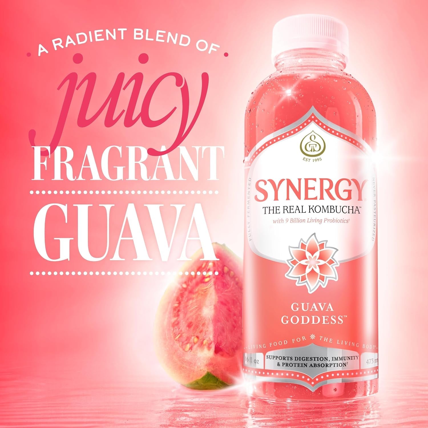 the-real-kombucha-guava-goddess-16-fl-oz-bottle-raw-probiotic-drink-for-gut-health-and-immune-support