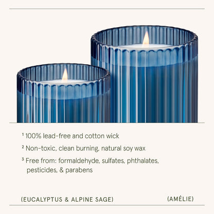 Eucalyptus Sage Fresh Scented Candles for Home, Soy Wax, 11Oz5