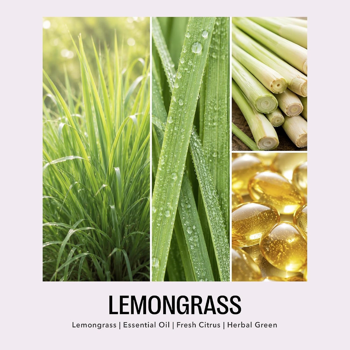 funny-gifts-for-mom-from-son-having-me-as-a-son-lemongrass-candle