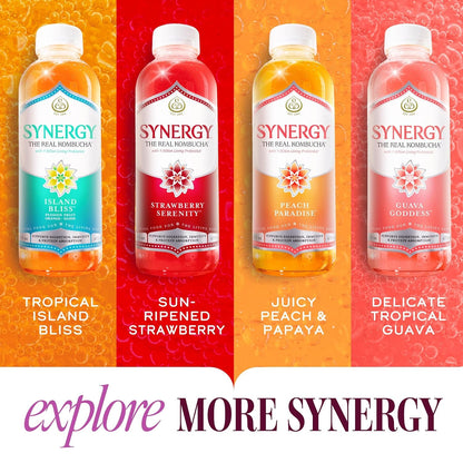 SYNERGY the Real Kombucha - Mystic Mango - 16 Fl Oz Bottle - Raw Probiotic Drink for Gut Health and Immune Support10
