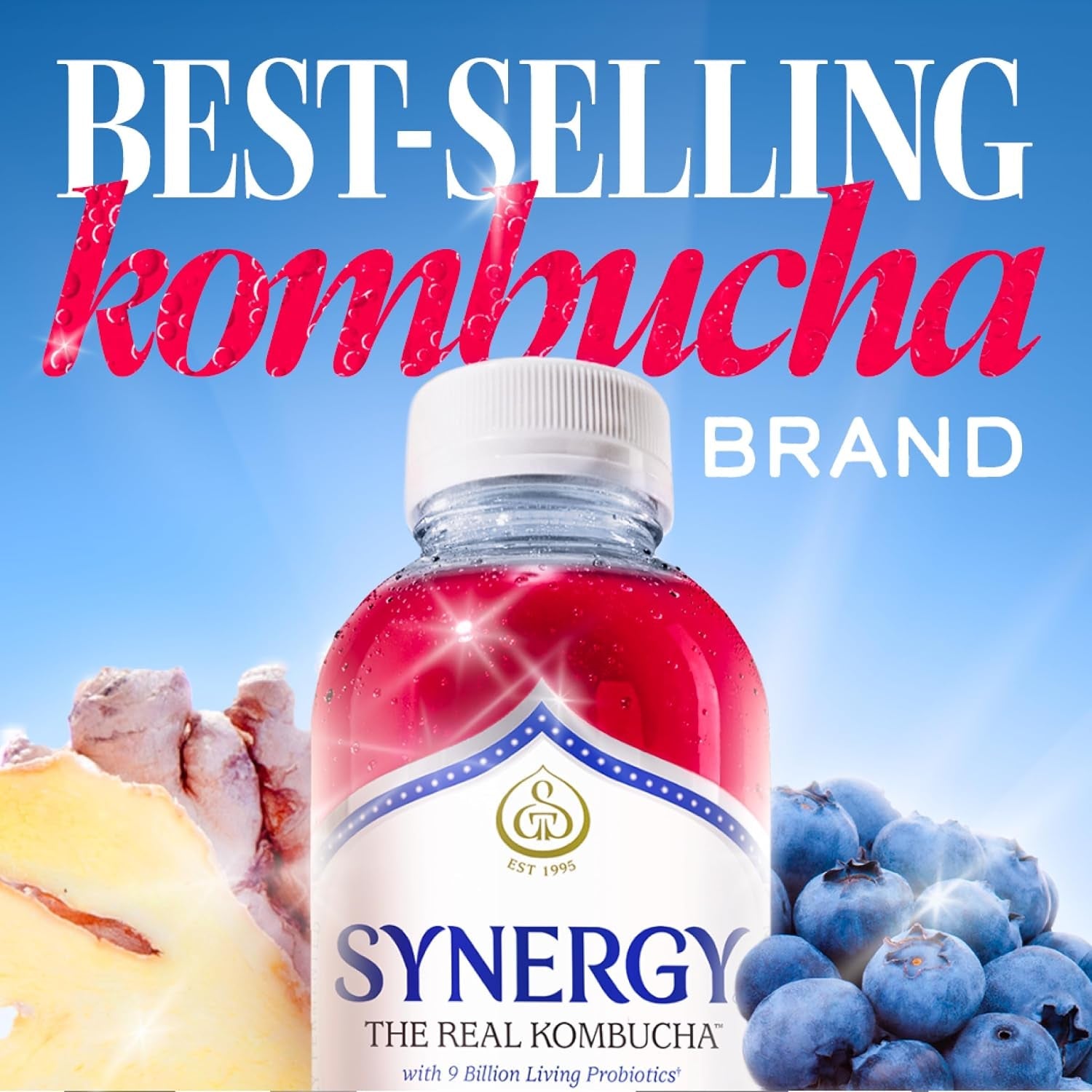 the-real-kombucha-gingerberry-16-fl-oz-bottle-raw-probiotic-drink-for-gut-health-and-immune-support