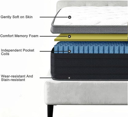 Queen Size Mattress in a Box, 10 Inch 60X80 Inch Pocket Coil Mattress, Soft Hotel Standard Queen Bed Mattress, Quiet Supportive Mattress for Bedroom Guest Room2