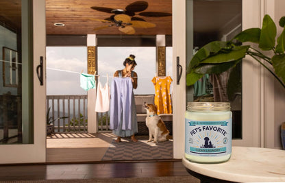 Fresh Laundry Pet Odor Eliminator Candle Pet Friendly, 1 Pack5