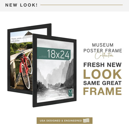 Museum Poster Frame, 18X24, Onyx Woodgrain2