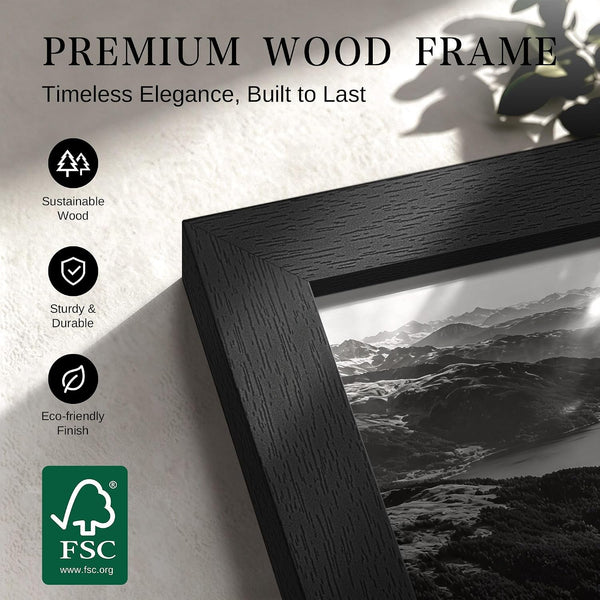 11X17 Picture Frame, Black Wood Poster Frames for Wall Display, 2 Pack5