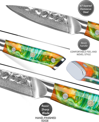3.5 Inch Paring Knife - Fruit and Vegetable Peeling Knives, Forged Damascus Steel & Resin Handle - YAO Series3