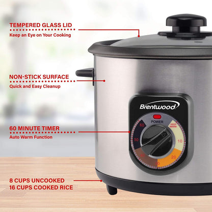 Crunchy Persian Rice Cooker, Stainless Steel (8-Cup Uncooked/16-Cup Cooke), Silver (TS-1216S) | 500W, 60-Min Timer to Auto-Warm, Tempered Glass Lid, Nonstick Pot, Measuring Cup and Paddle6
