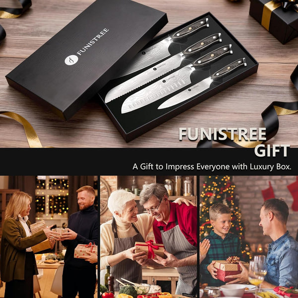 4 Pieces Professional Kitchen Knife Set, Damascus German Stainless Steel Chef Knife Set, 8" Chef Knife, 5" Utility Knife, 8" Bread Knife, 7" Santoku Knife, Gift for Men Women 20 Cm6