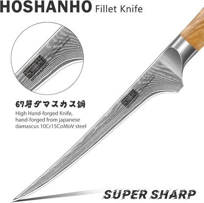 HOSHHANHO Japanese Damascus fillet knife with 67-layer steel blade and wooden handle
