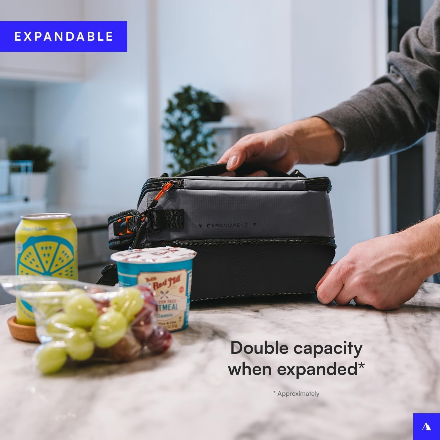 titan-fridge-cold-expandable-lunch-box-with-2-ice-packs-sharkskin-gray