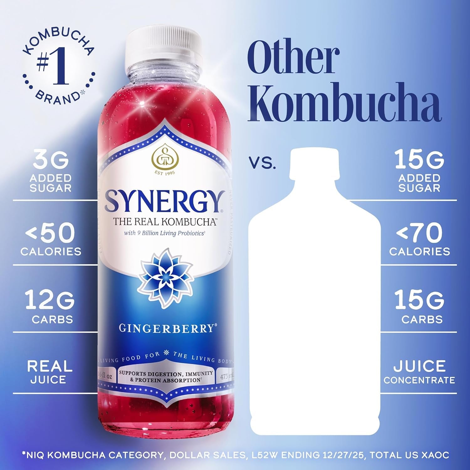 the-real-kombucha-gingerberry-16-fl-oz-bottle-raw-probiotic-drink-for-gut-health-and-immune-support