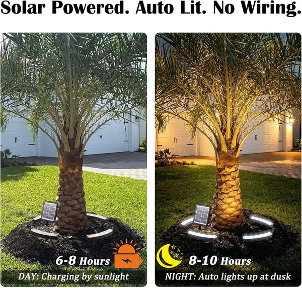 Solar Tree Lights Cool White 6000K, 360° Ring Uplight, Ground Stake, 3 Dimming, Auto On/Off, IP44 Waterproof, Solar Landscape Light, Adjustable Inner Diameter for Garden Palm Patio Decor5
