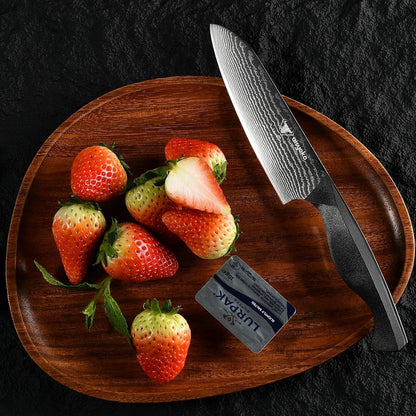 Santoku Knife 5" Inches-Japan 8C Super Steel 67 Layer Damascus Steel-Sharp Kitchen Knife-Full Tang ABS Anti-Skid Handle Utility Knife Cooking Knife with Luxury Gift Box8