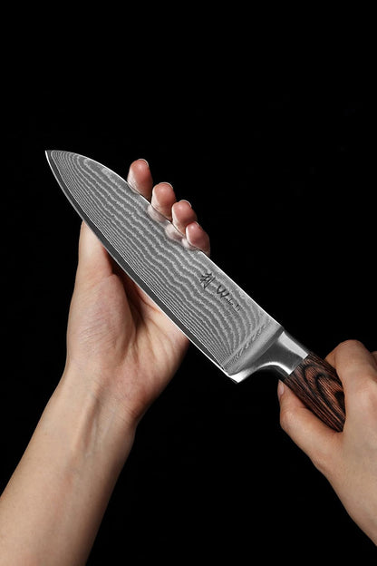 EDIB 3-Piece Damascus Kitchen Knife Set in Wooden Gift Box | VG10 Core, 67-Layer Genuine Damascus Steel, 60 ± 2 HRC, Santoku, Utility and Paring Knife, Pakkawood Handles10