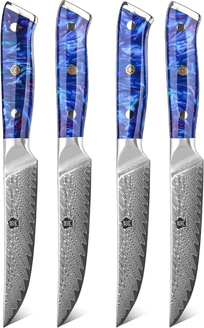 Steak Knives, 5 Inch Non Serrated Steak Knife Set of 4, Japanese Damascus VG10 Steel Steak Knives,Premium Steak Knives Set with Gift Box1