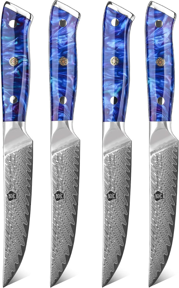 Steak Knives, 5 Inch Non Serrated Steak Knife Set of 4, Japanese Damascus VG10 Steel Steak Knives,Premium Steak Knives Set with Gift Box1