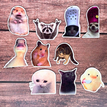 10PC Funny Meme Animals Fridge Magnets, Fun Cute Weird Magnetic Crying Cat Dog Hamster Duck Magnets for Gaming Kitchen Home Decor Bumper School Locker Work for Boys Girls Adult Accessories3