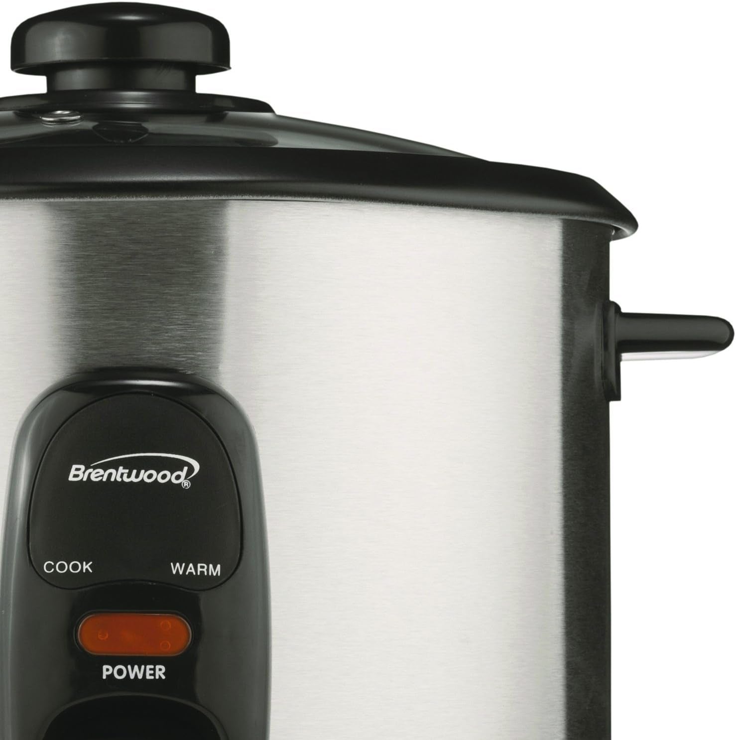 ts-20-rice-cooker-10-cup-stainless-steel