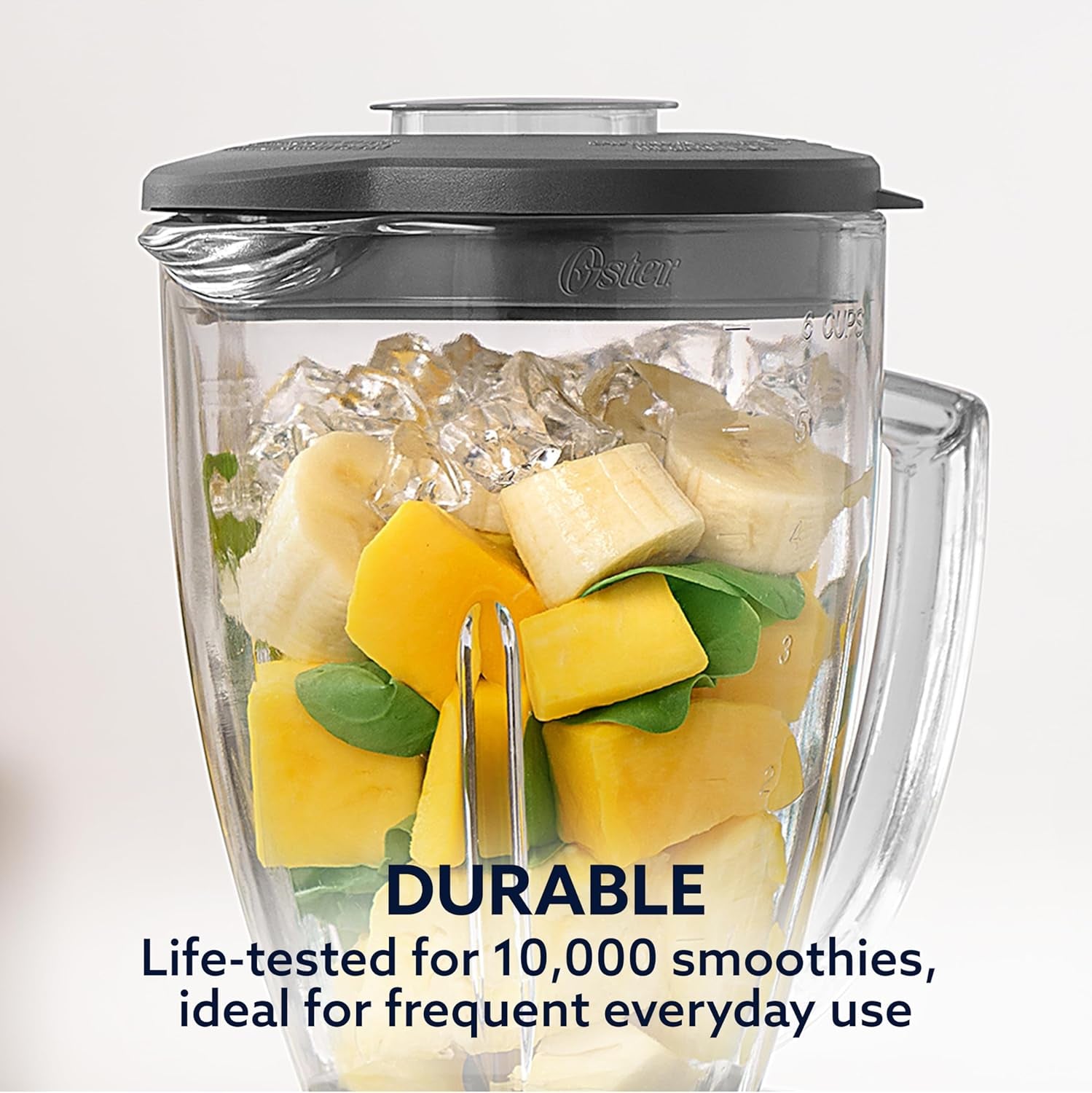 oster-classic-series-16-speed-blender-with-food-chopper-6-cup-glass-jar-countertop-kitchen-blender-brushed-nickel