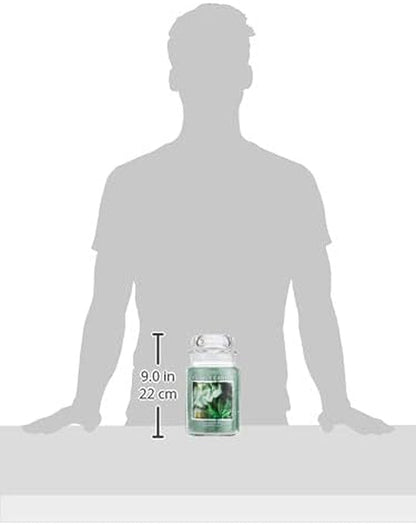 Eucalyptus Mint Large Glass Apothecary Jar Scented Candle, Gift for Mom & Dad, 21.25 Oz., Green3