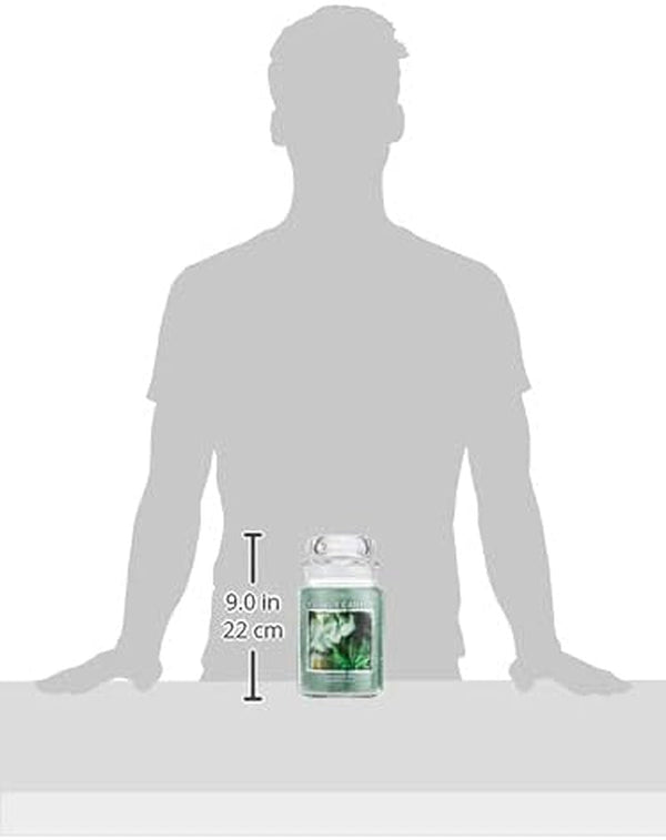 Eucalyptus Mint Large Glass Apothecary Jar Scented Candle, Gift for Mom & Dad, 21.25 Oz., Green3