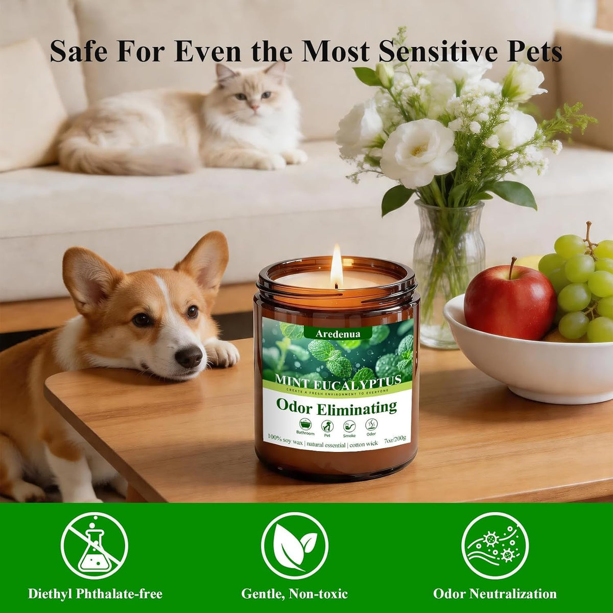 mint-eucalyptus-odor-eliminating-candles-7-oz-soy-scented-candle