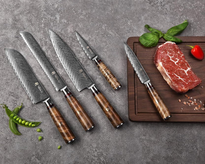 5-Piece Damascus Kitchen Knife Set with Magnetic Block, VG10 Core | Damascus Knife Set with Block: 67-Layer Damascus Steel, Sycamore Handles, Chef, Santoku, Bread, Utility and Paring Knives5