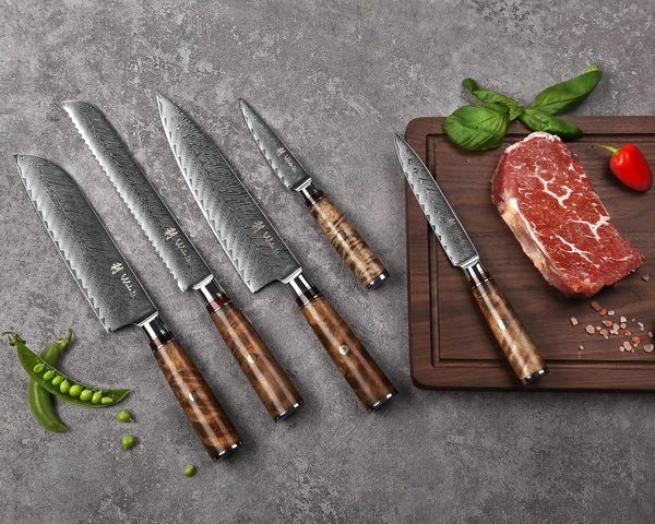 5-Piece Damascus Kitchen Knife Set with Magnetic Block, VG10 Core | Damascus Knife Set with Block: 67-Layer Damascus Steel, Sycamore Handles, Chef, Santoku, Bread, Utility and Paring Knives5