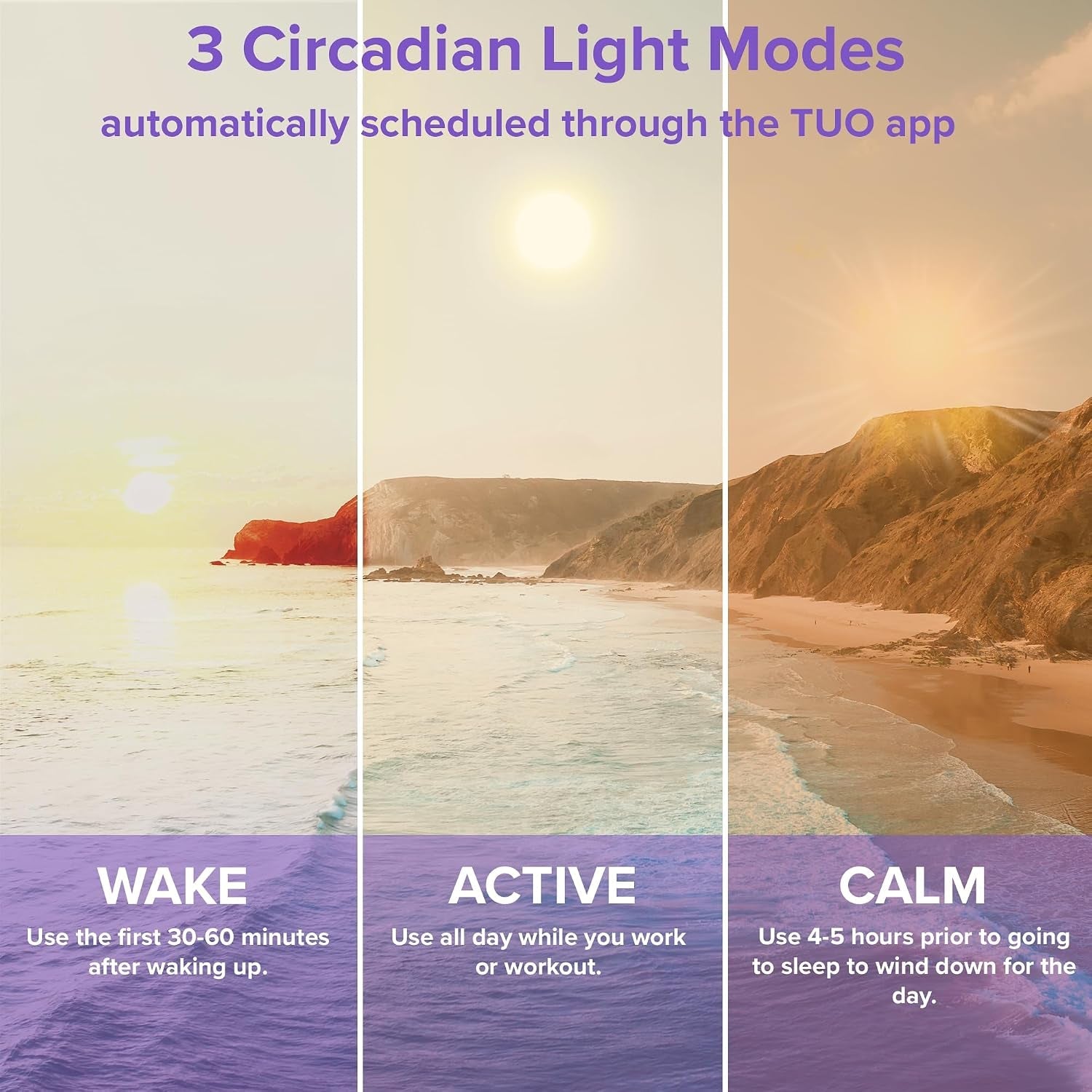 bundle-shadeless-lamp-and-circadian-sunrise-simulation-smart-led-light-bulb