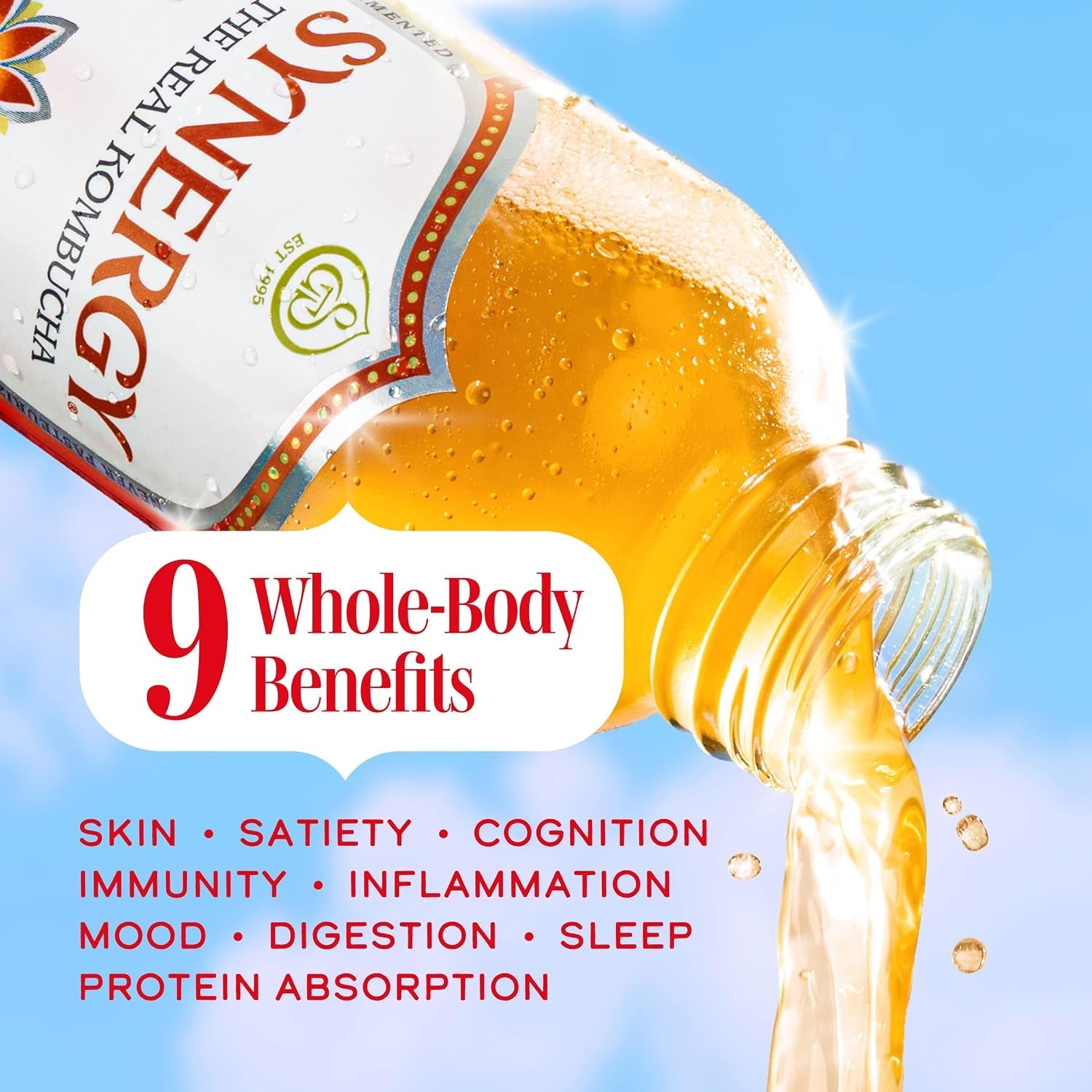 the-real-kombucha-gingerade-16-fl-oz-bottle-raw-probiotic-drink-for-gut-health-and-immune-support